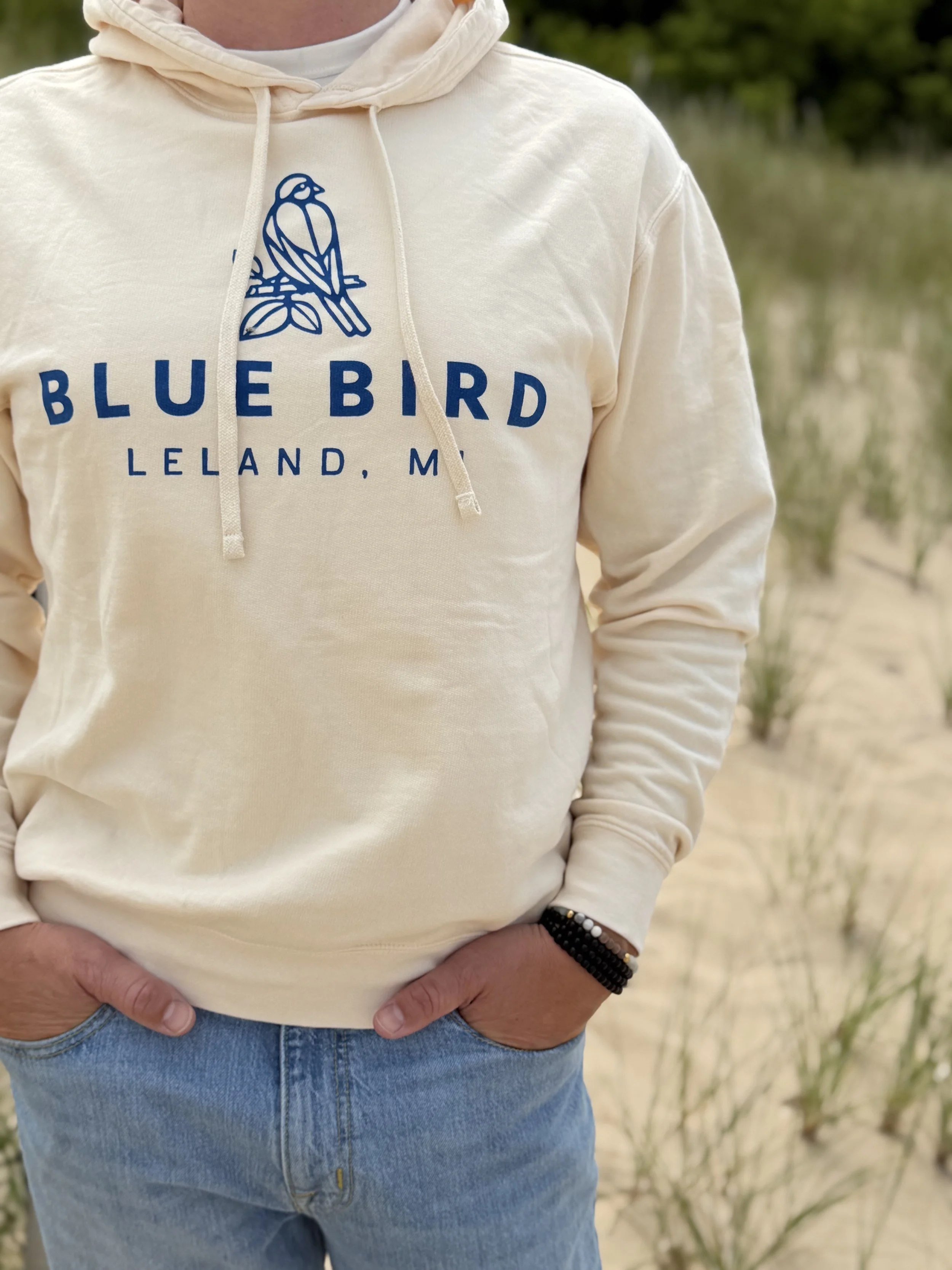 BLUE BIRD CLASSIC HOODIE
