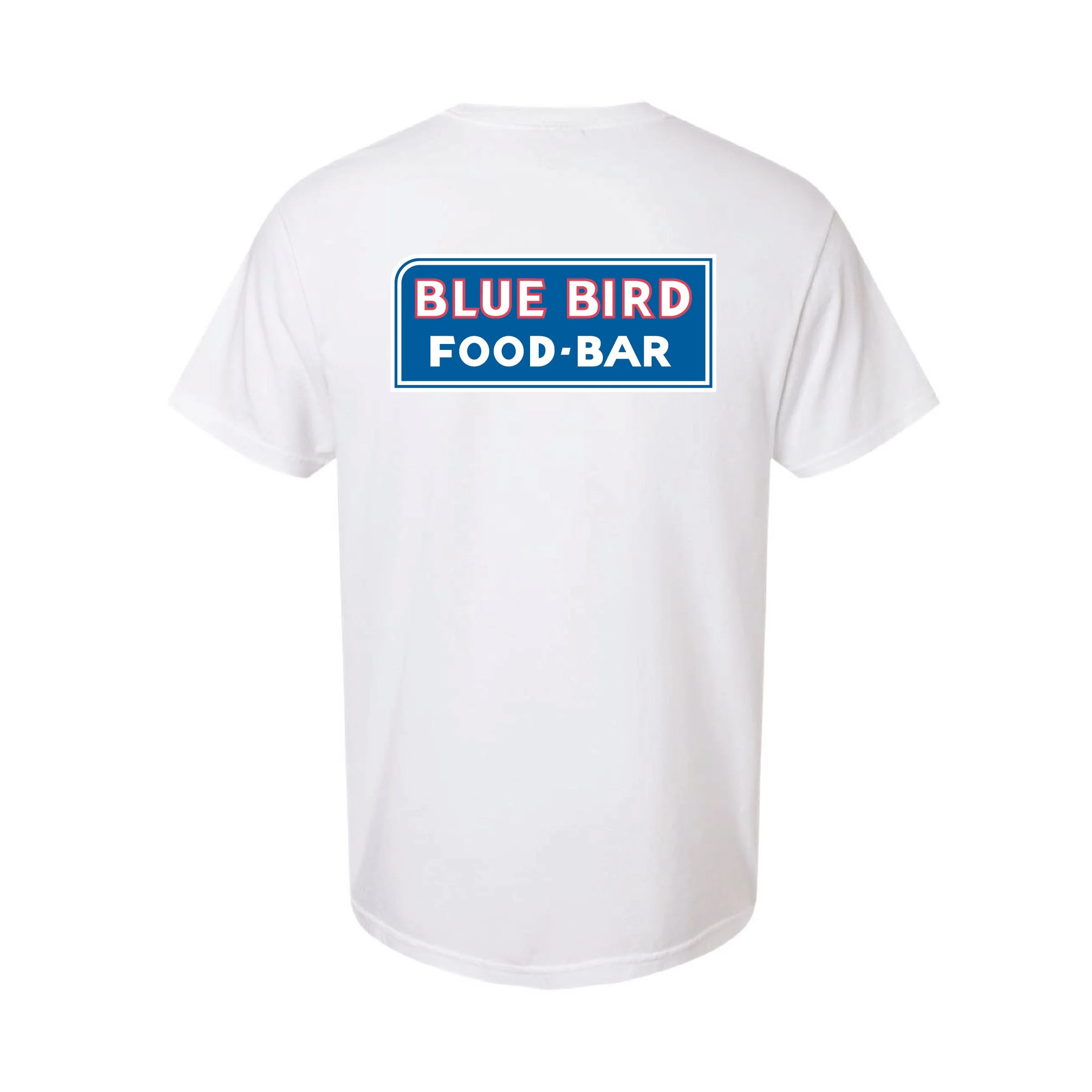 Blue Bird_Neon-14.jpg