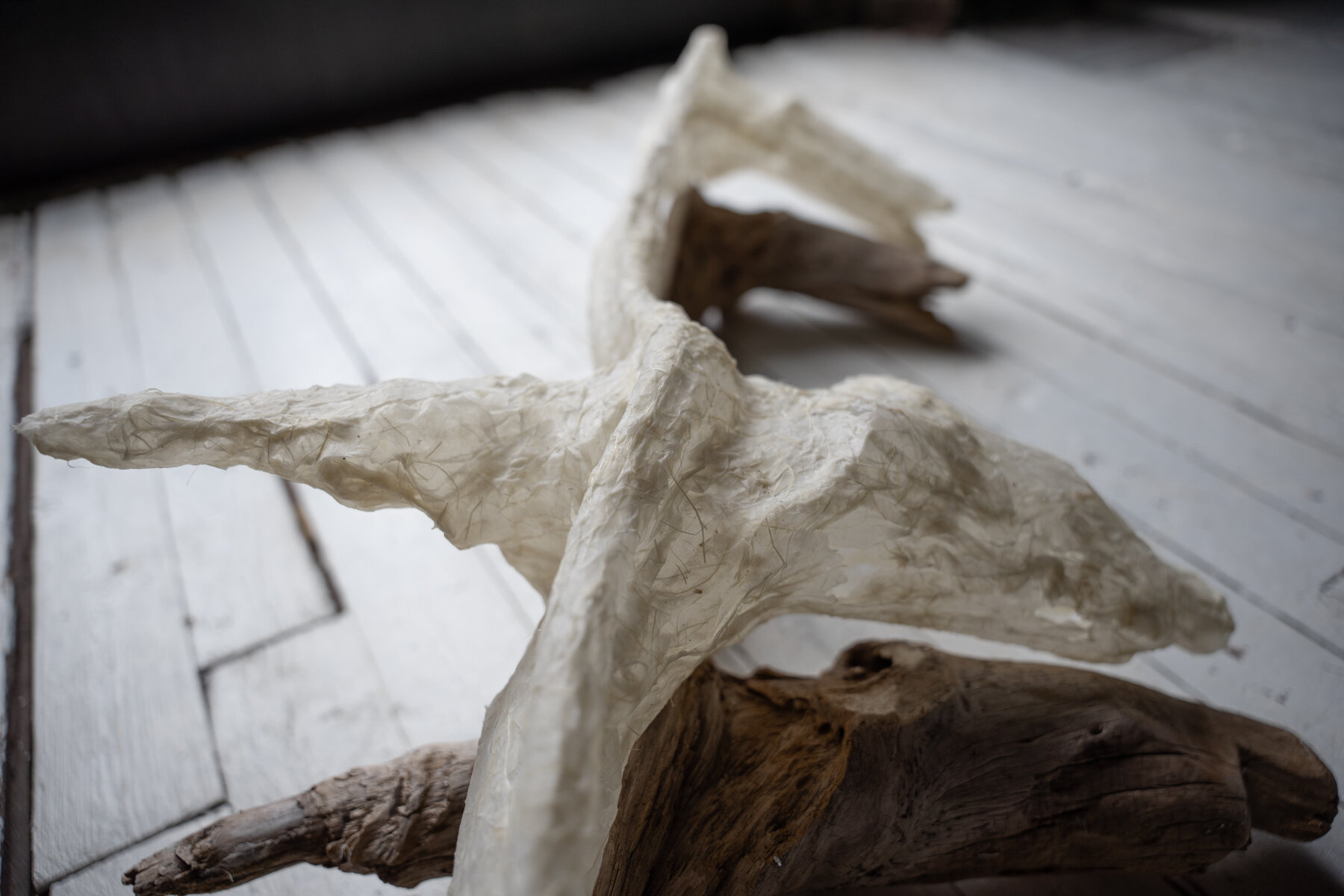 The sculptural work is Time the evading adversary? was created after having stumbled upon a peculiar piece of driftwood at a friend’s studio. I pondered at length on its surface that water, other objects and sunlight degraded over a long period