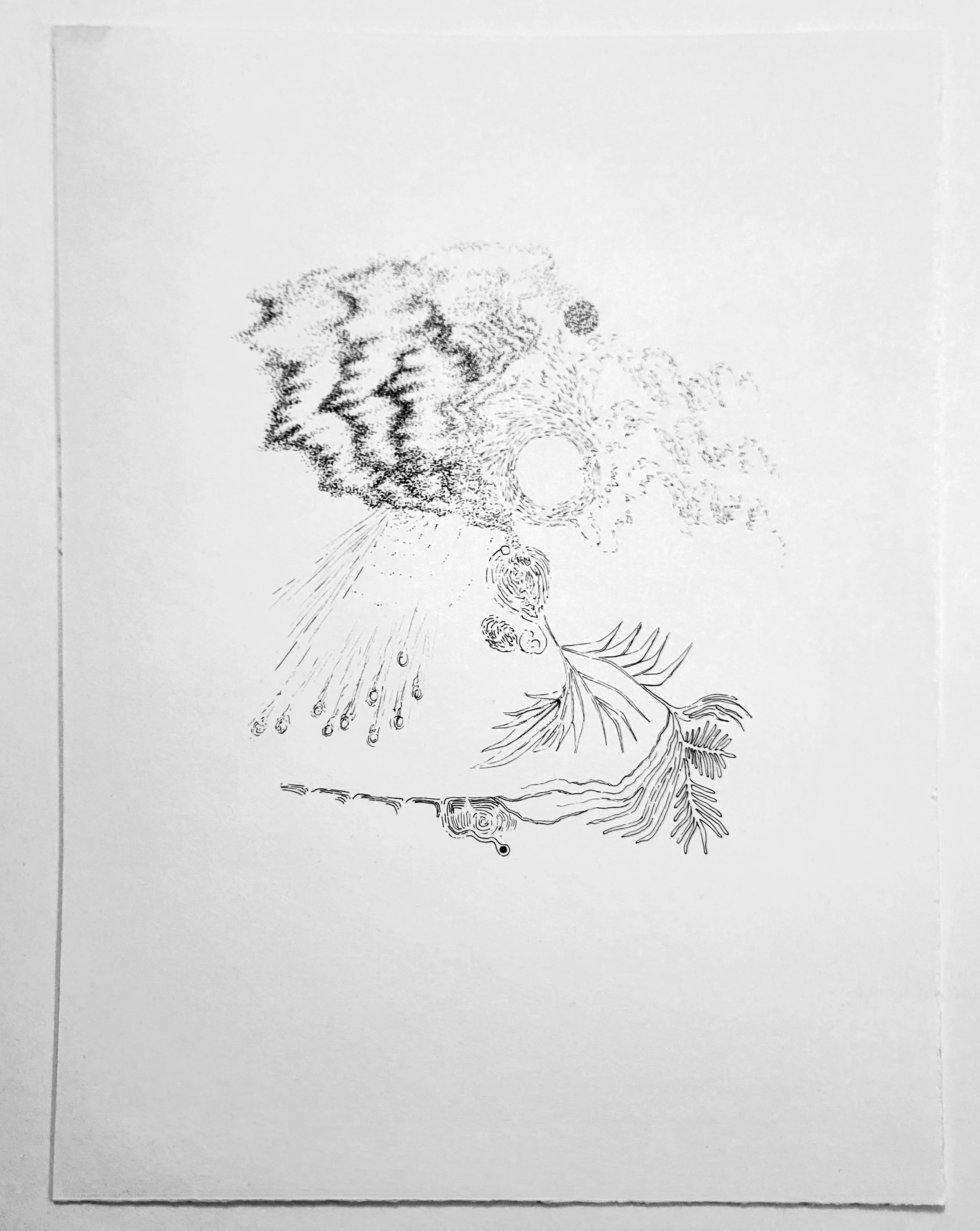  Seedling. 2025. Ink on Strathmore cream drawing paper. 9 × 12 inches. Private collection. 