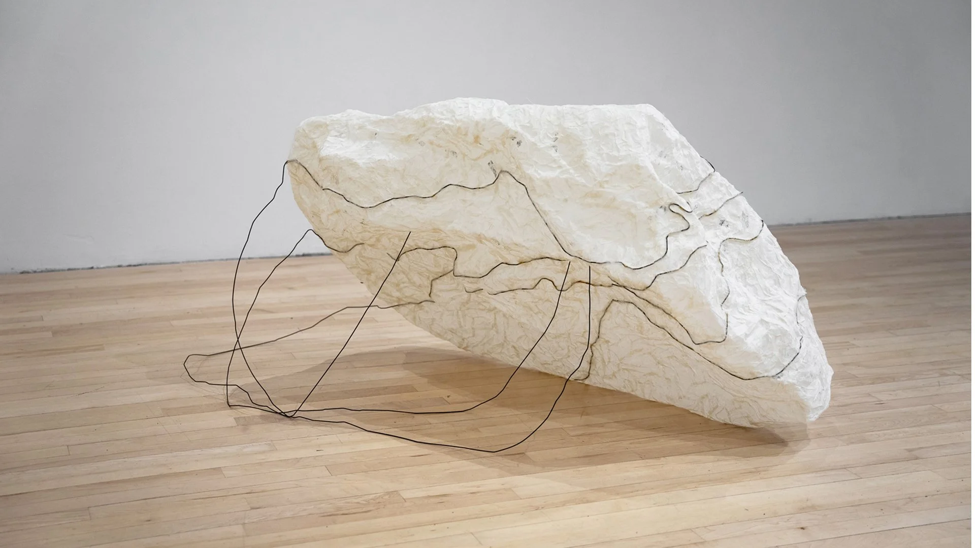 Lam_Tina_Proposition6_Sublimating Erratic.jpg