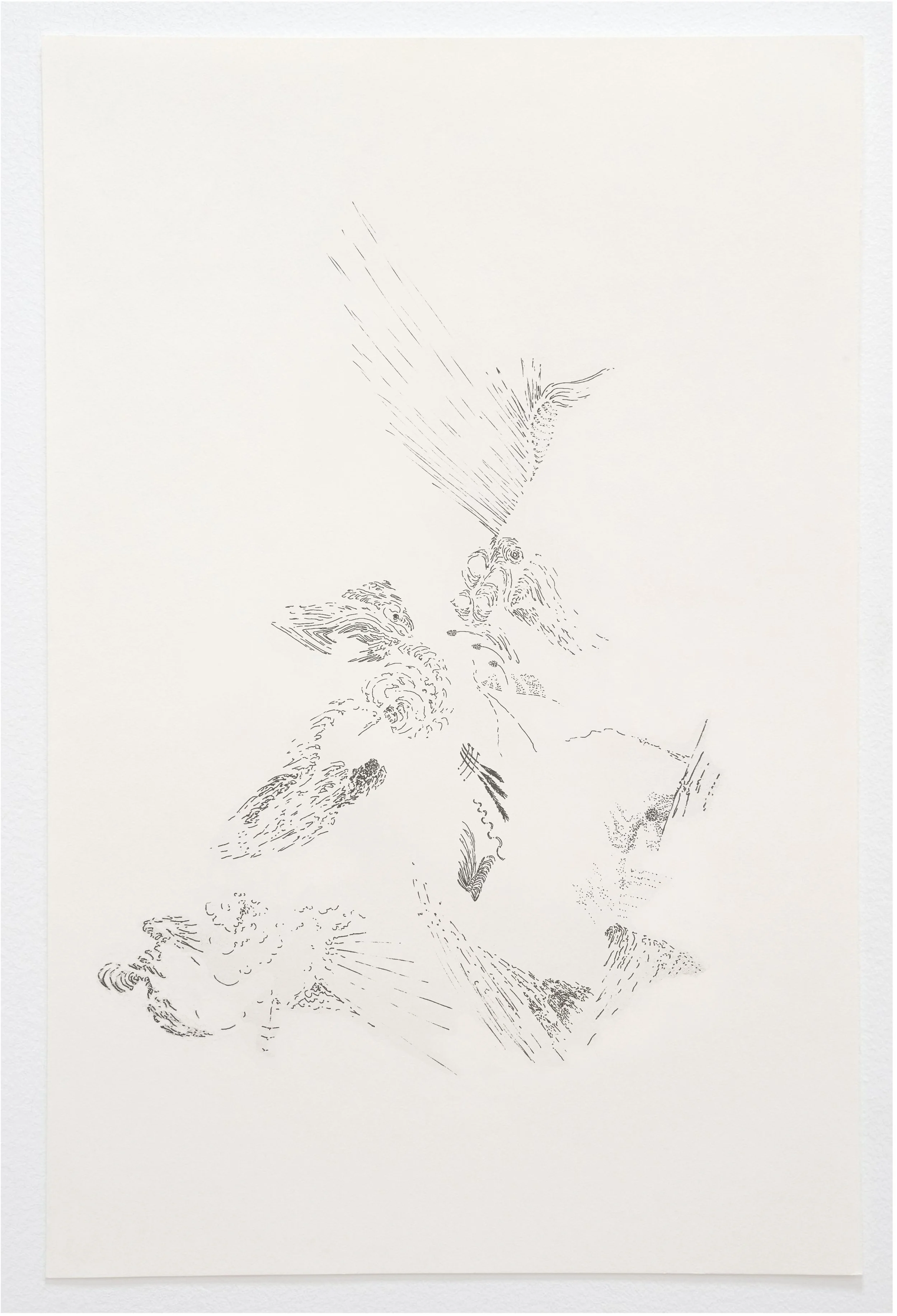  Arcane Hyperboreal Cetaceans. 2026. Ink on Strathmore cream drawing paper. 18 × 36 inches.  