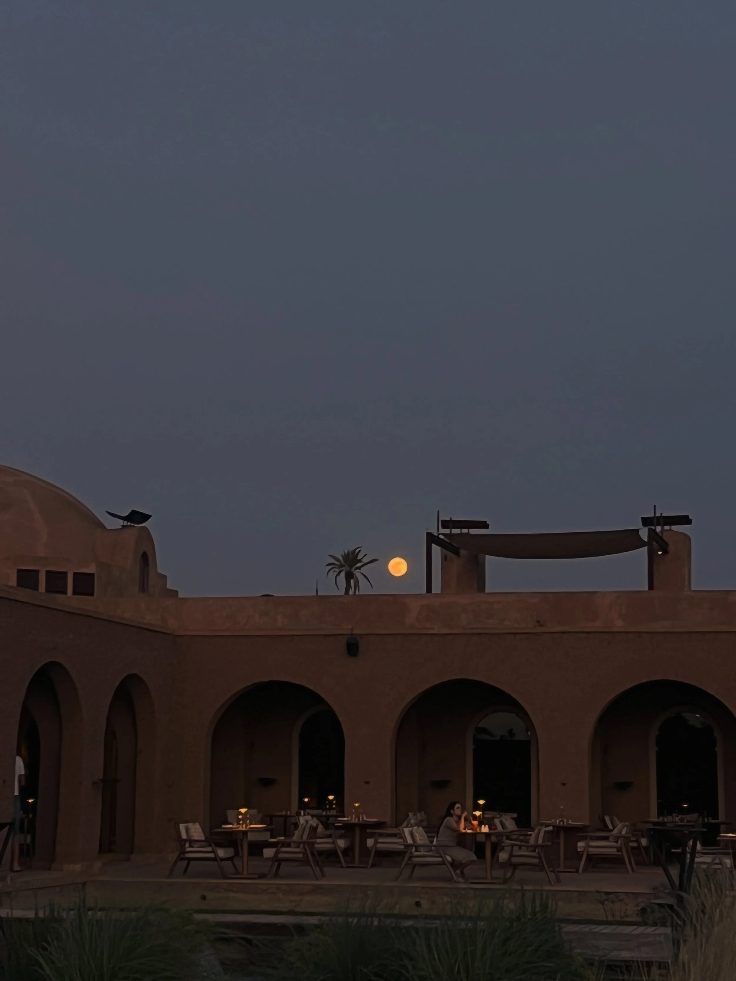 Some Marrakech outtakes, a little pottery and a spiritual encounter with a baby praying mantis :)