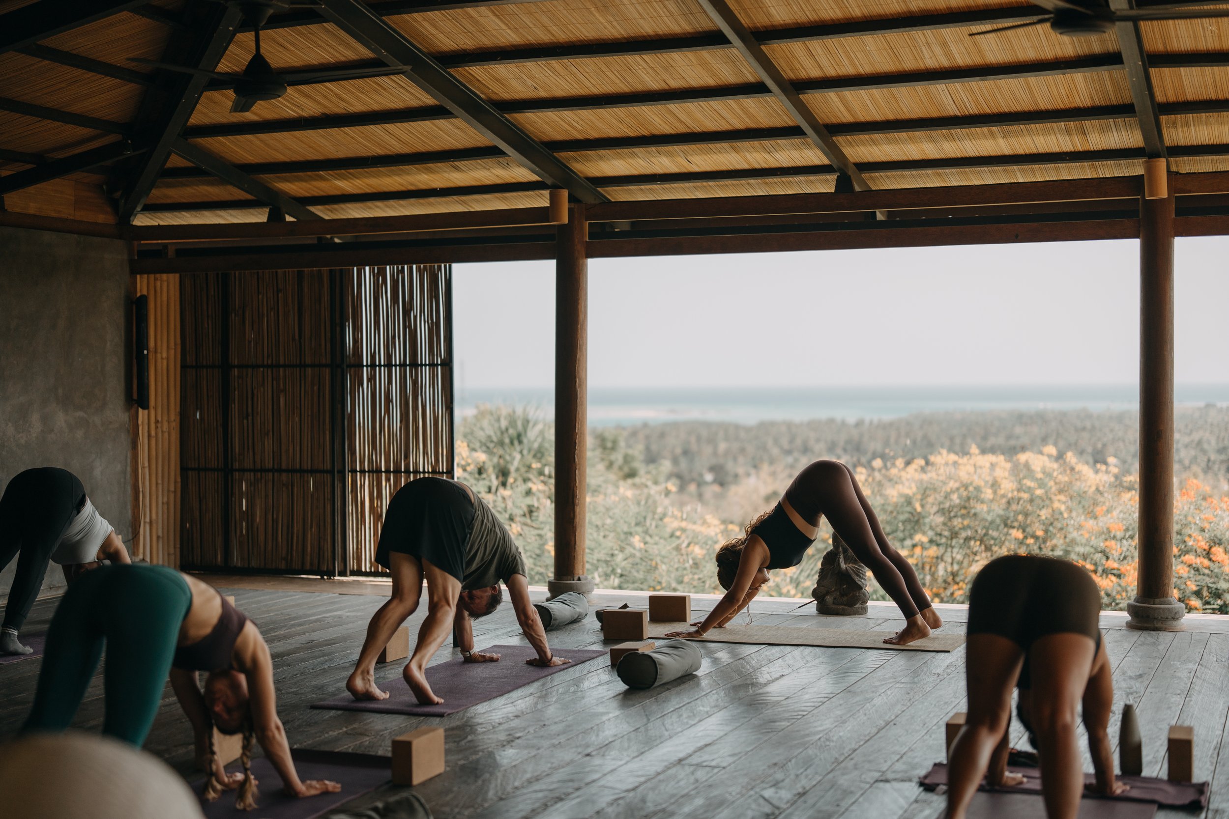 TRANSCENDENCE - YOGA-55.JPG