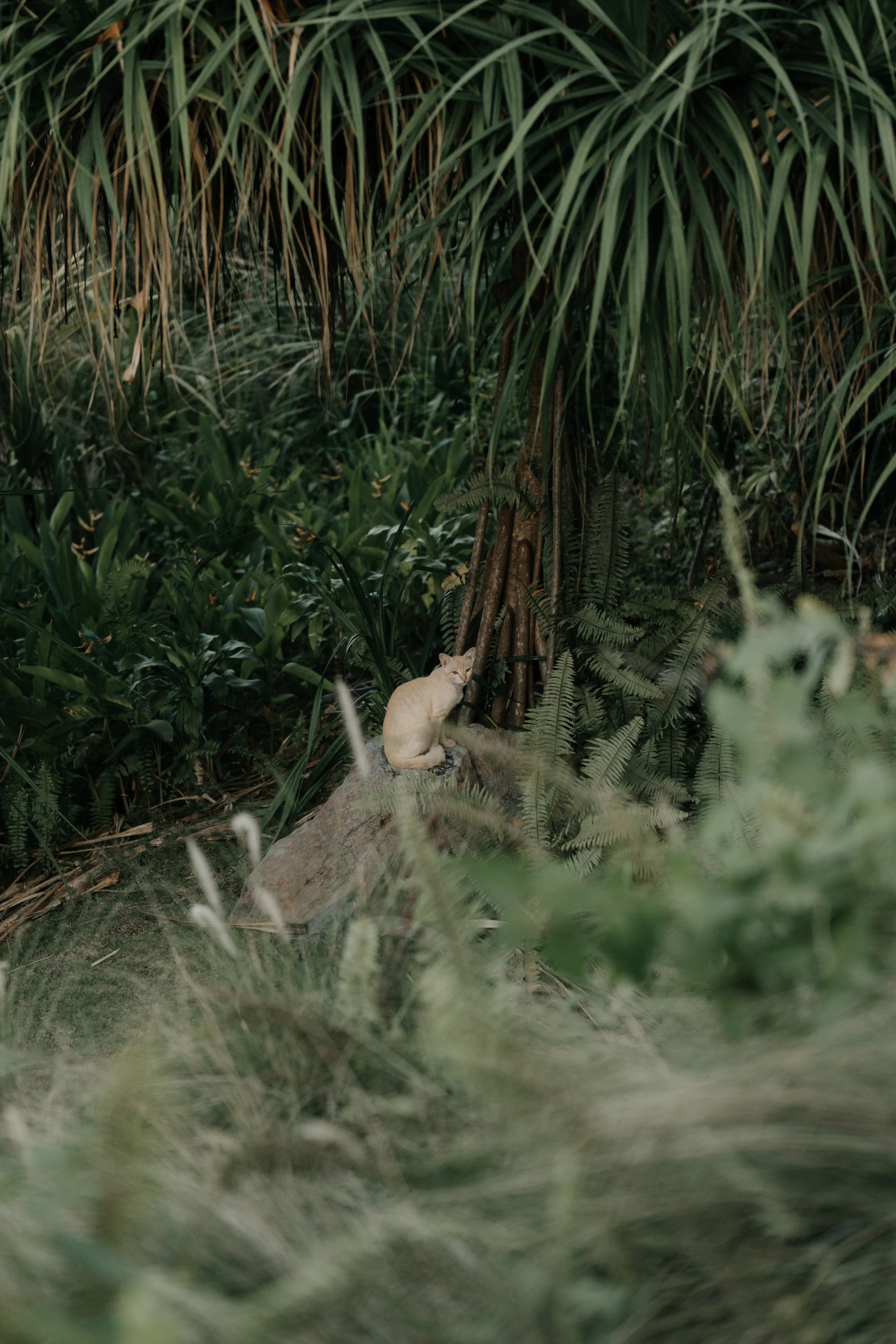 TRANSCENDENCE - RESTORATIVE YOGA-133.JPG