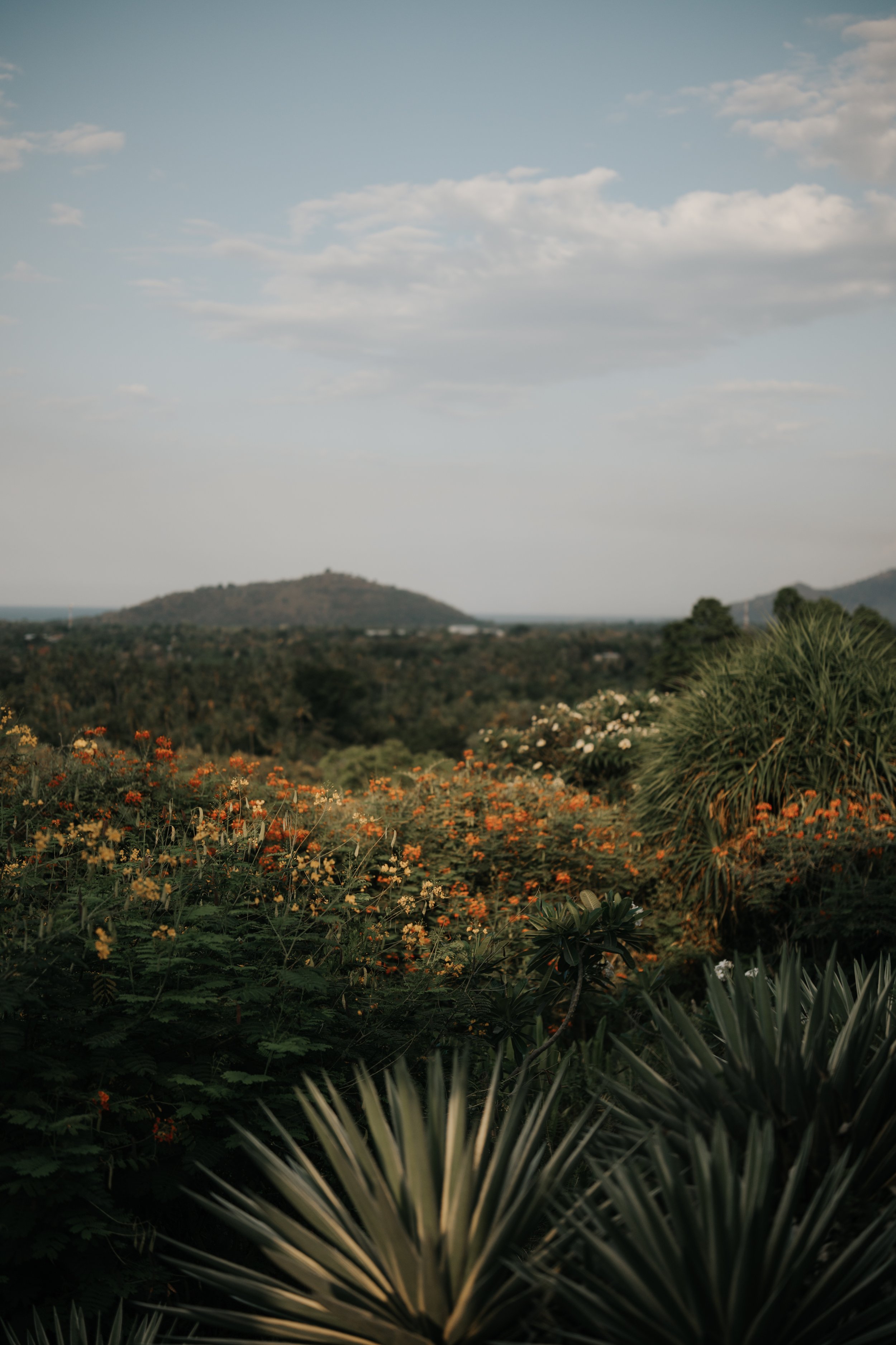 TRANSCENDENCE - RESTORATIVE YOGA-7.JPG