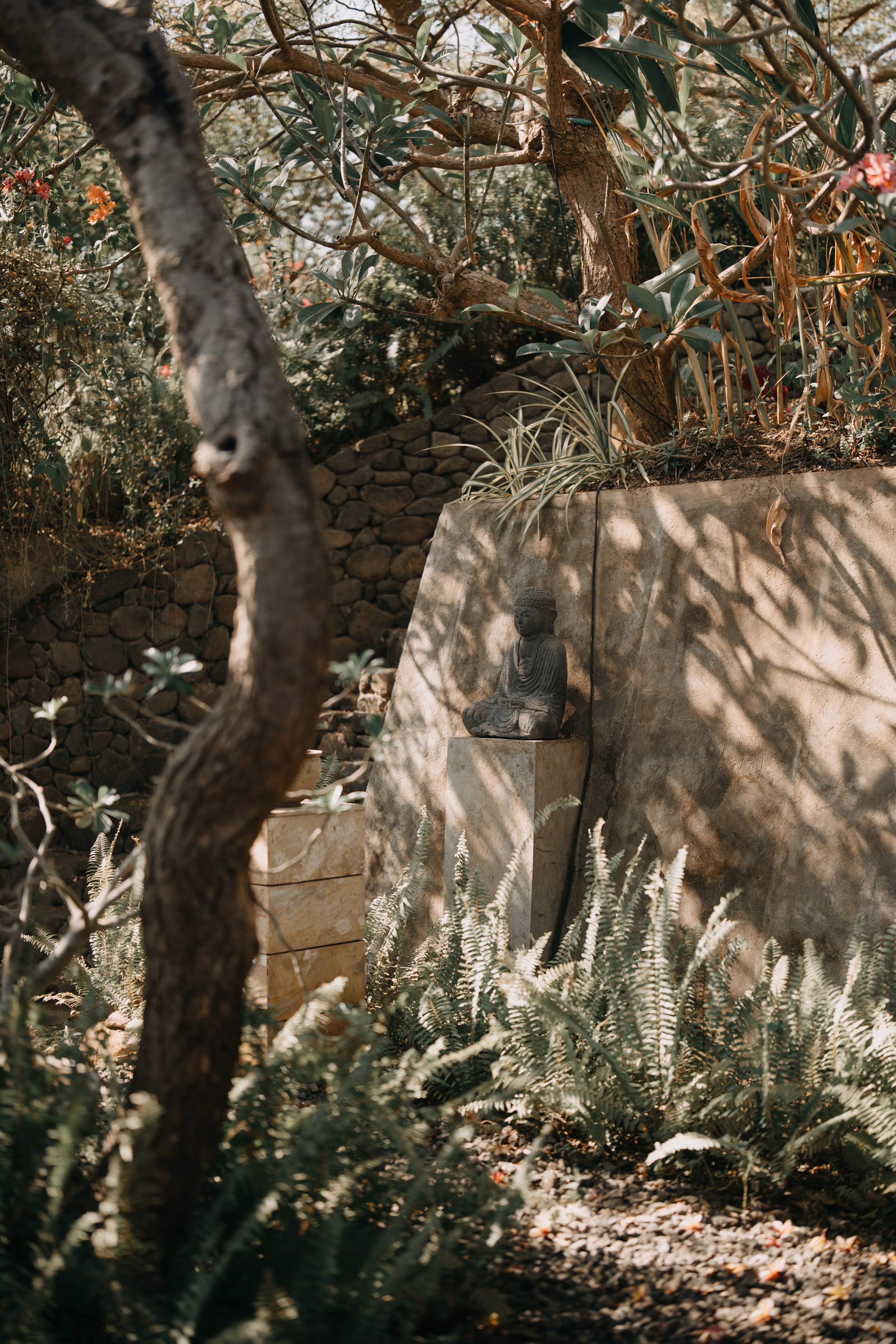 TRANSCENDENCE - YOGA-7.JPG