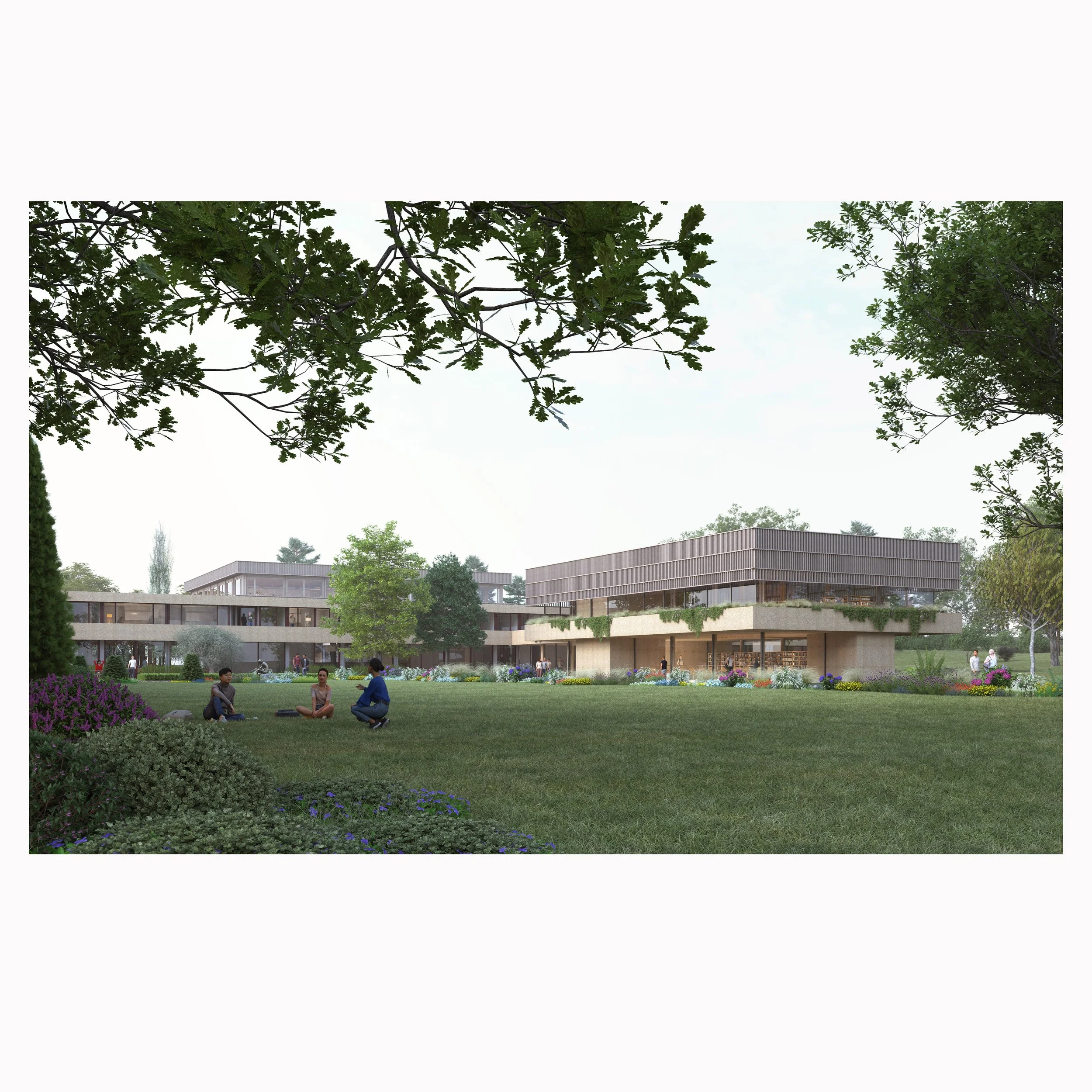 WEBSITE VARIOUS 22.jpg