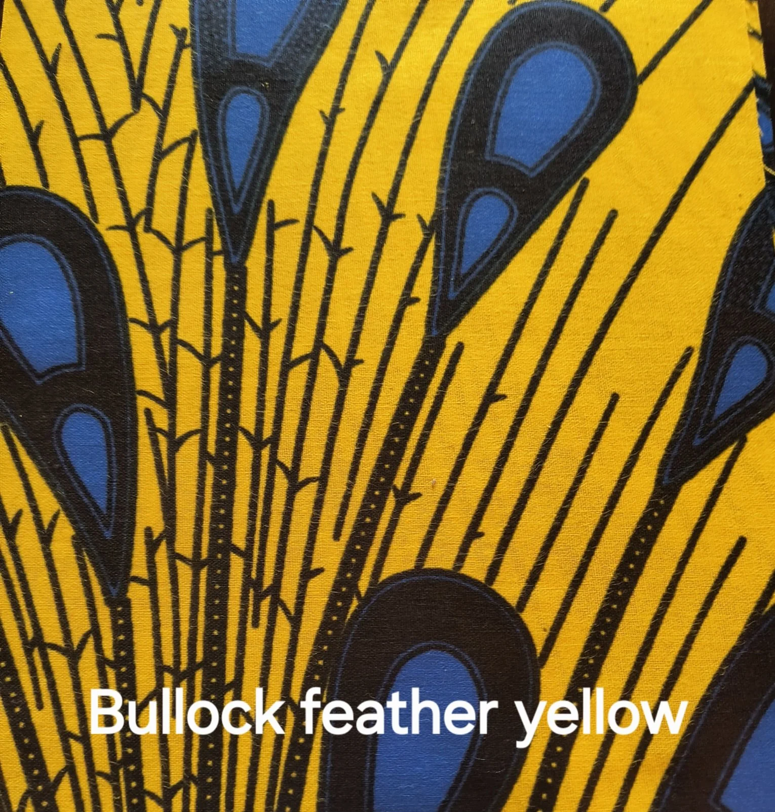 Bullock Feather Yellow .jpg