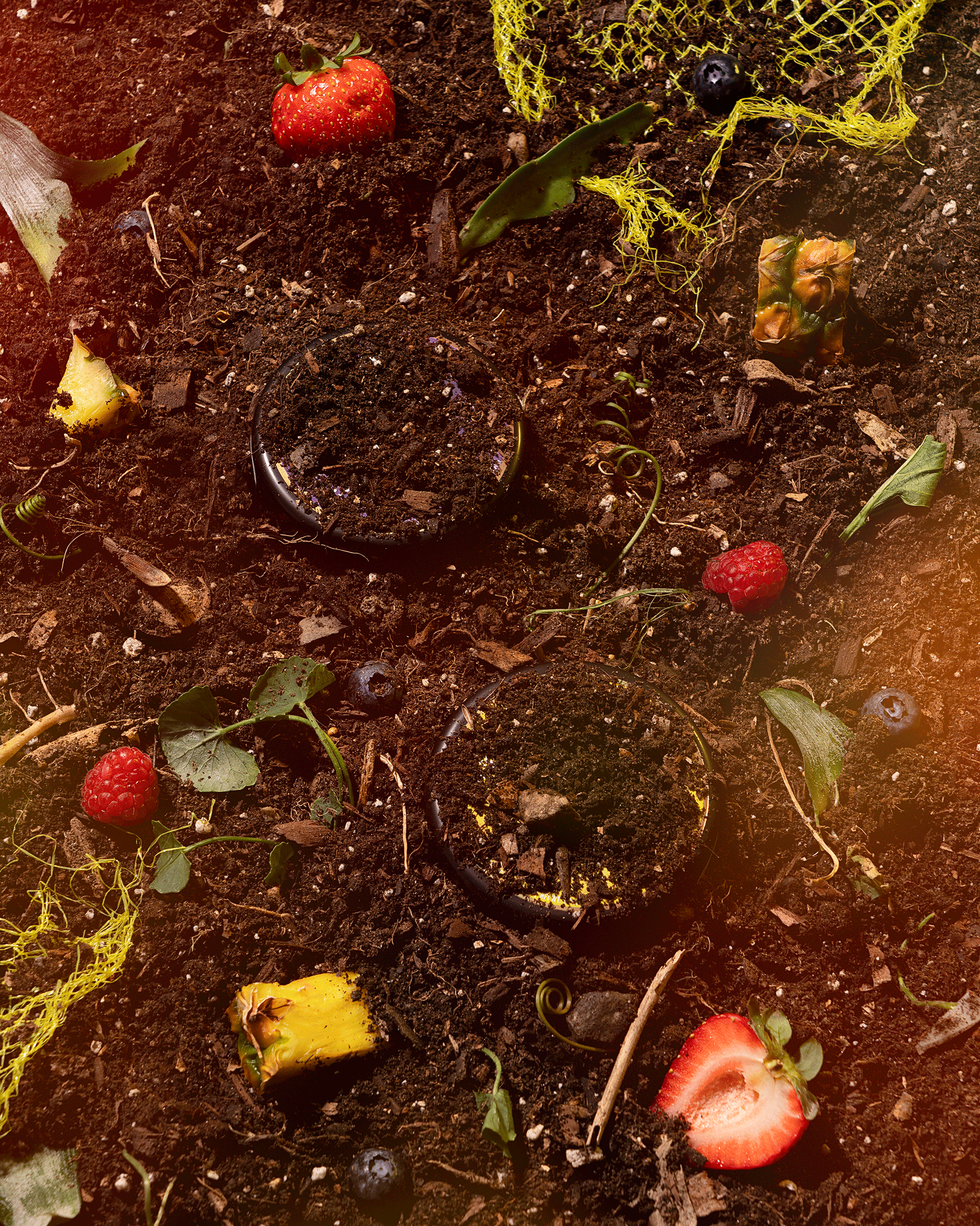 Happy-Fruit_Peaceful-Pineapple_Moon-Berry_garden_GIF_2000x2500.gif