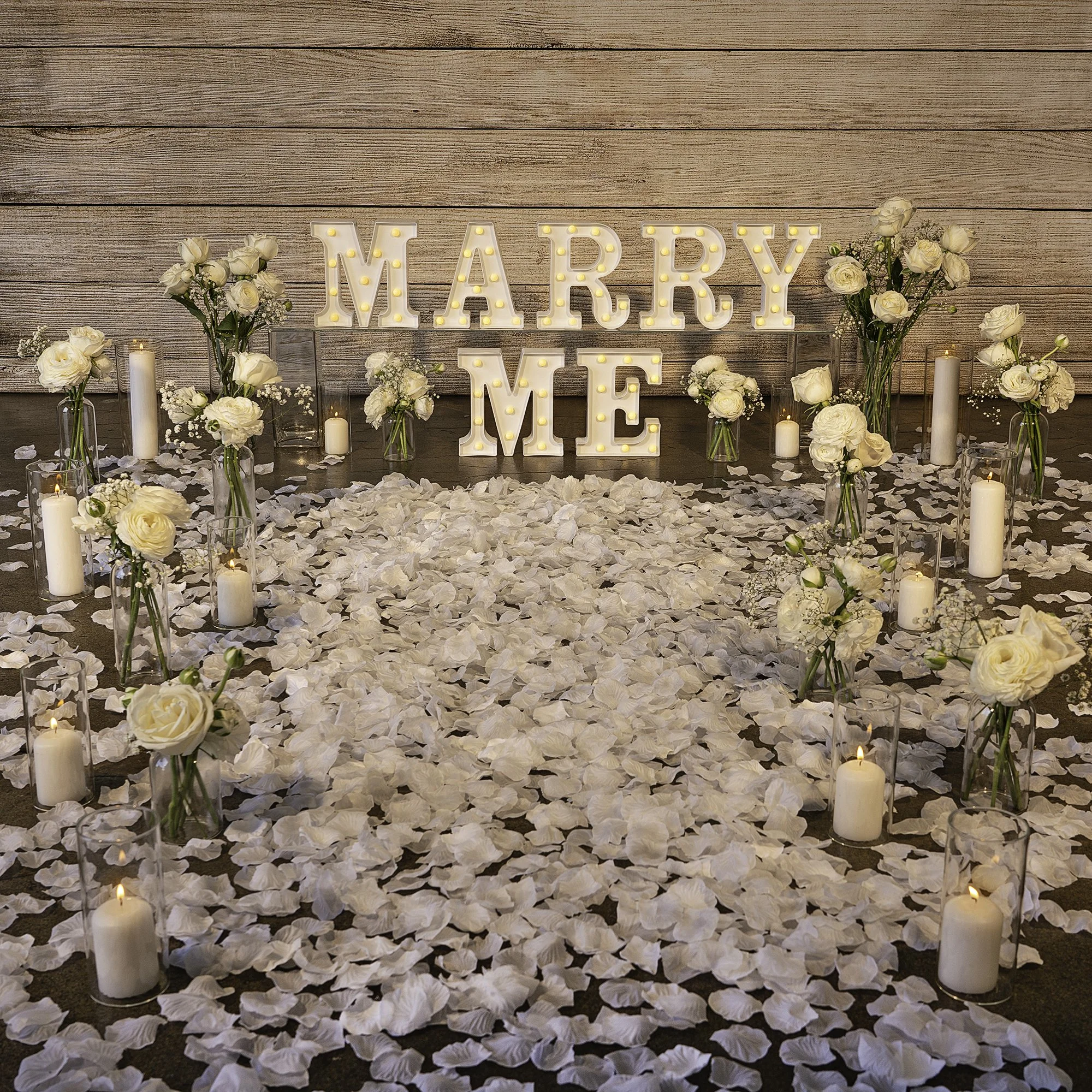 Ani-Mal_marry-me_proposal-full-set_2000x2000.jpg