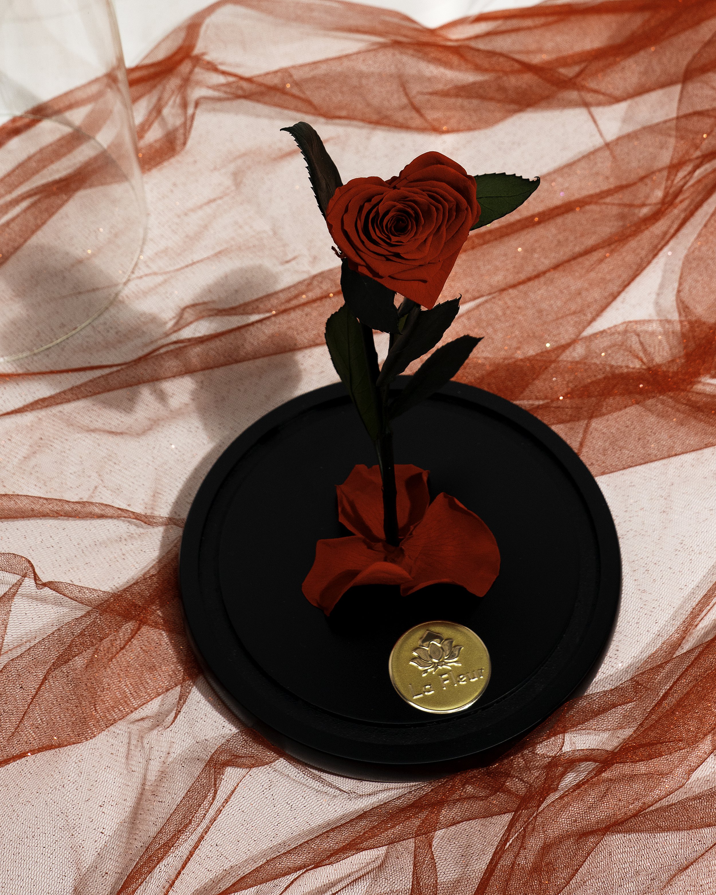 LFB_Vday_16.jpg