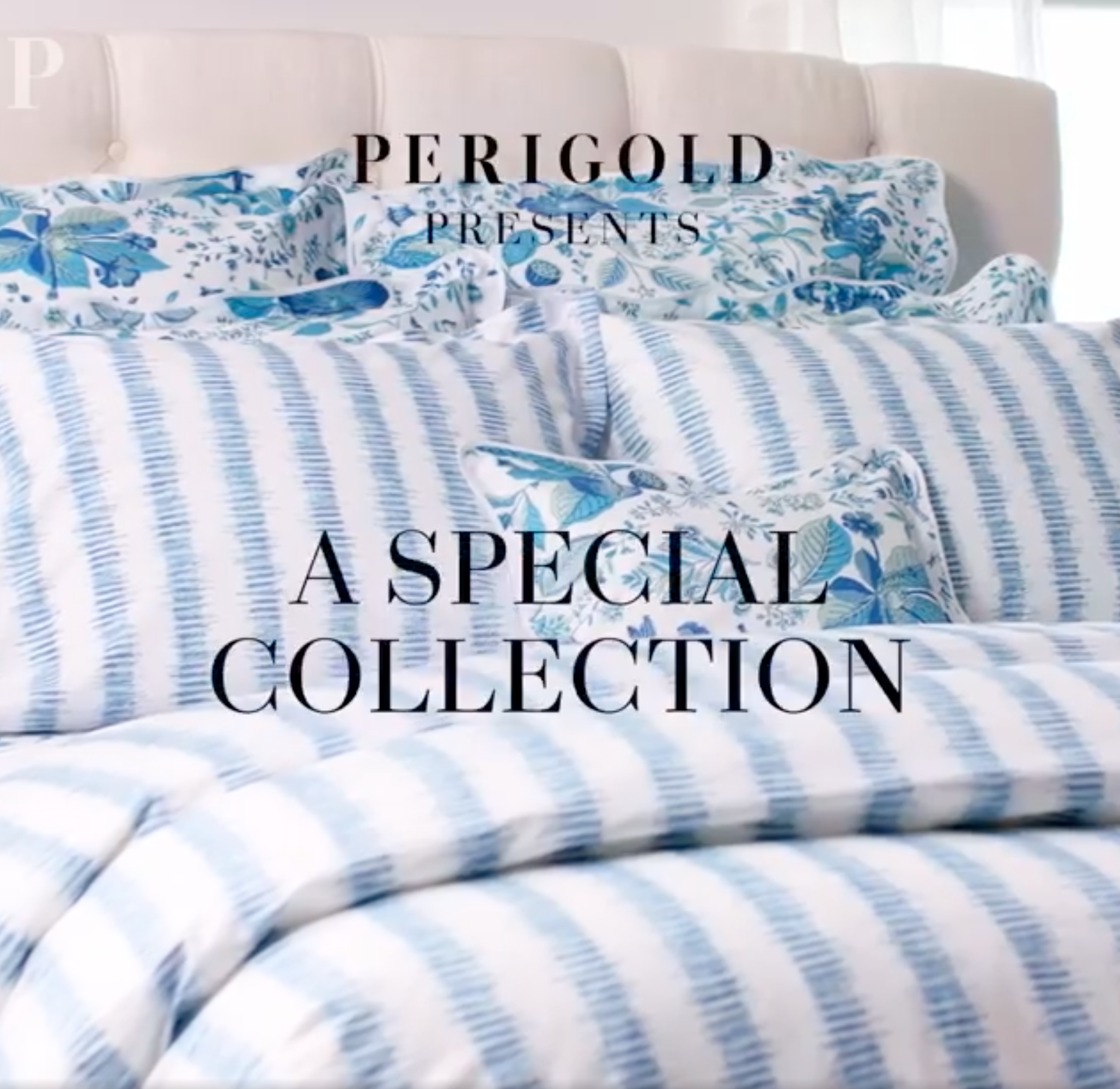 Screen Shot 2022-02-27 at 9.08.37 PM.png