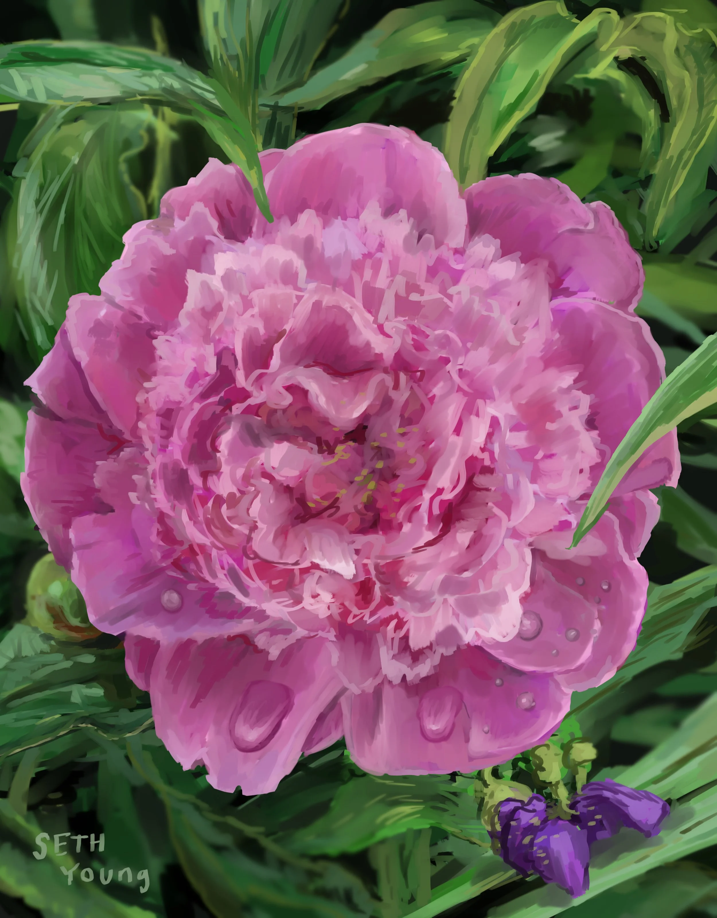 mom Christmas 2023.jpg