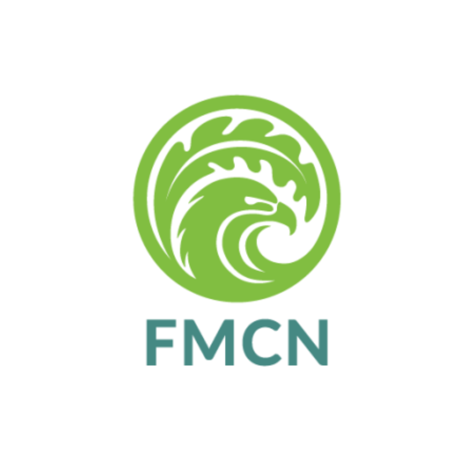 Fondo MCN.png