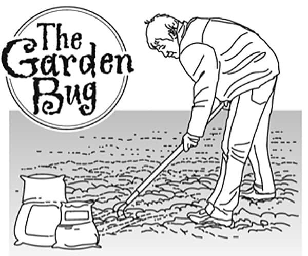 The Garden Bug: Turning Soil