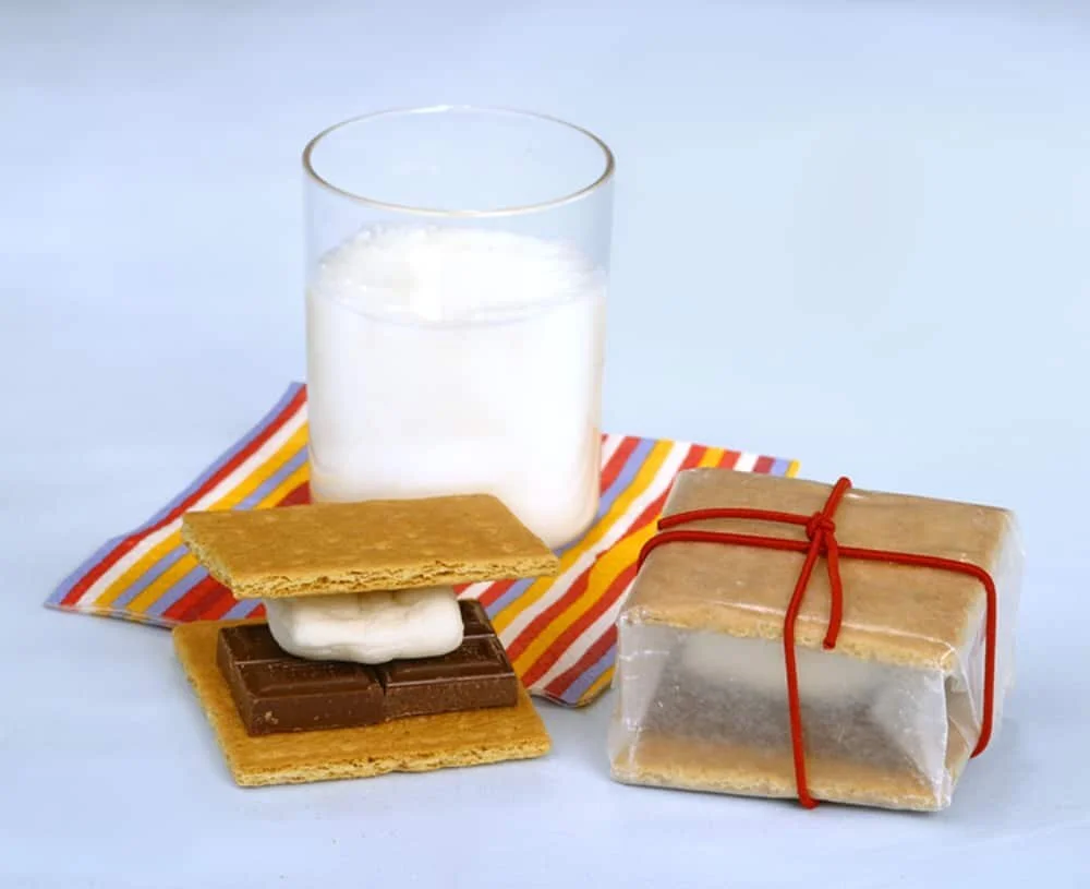 Donna's Day: S'mores Indoors