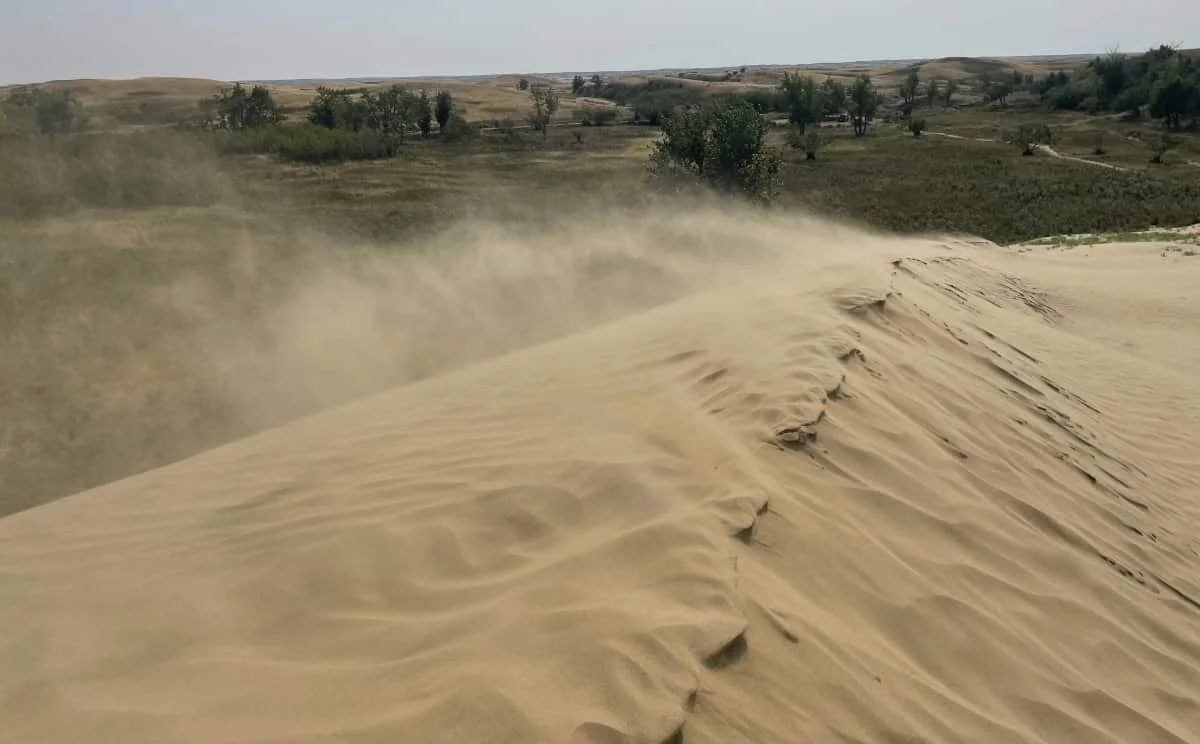 A visit to the Sandhills is a Saskatchewan treat