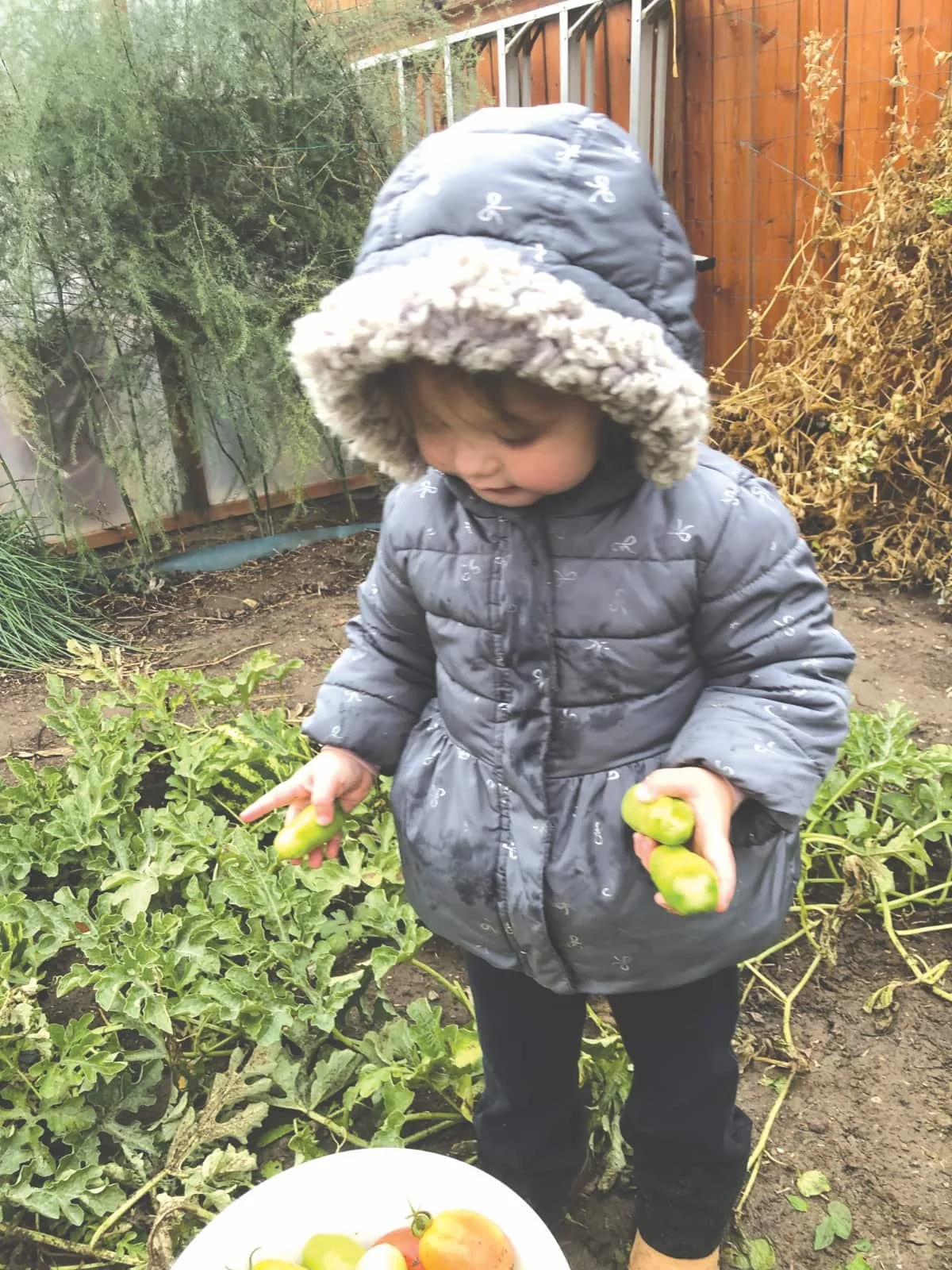 Never too young to begin gardening!
