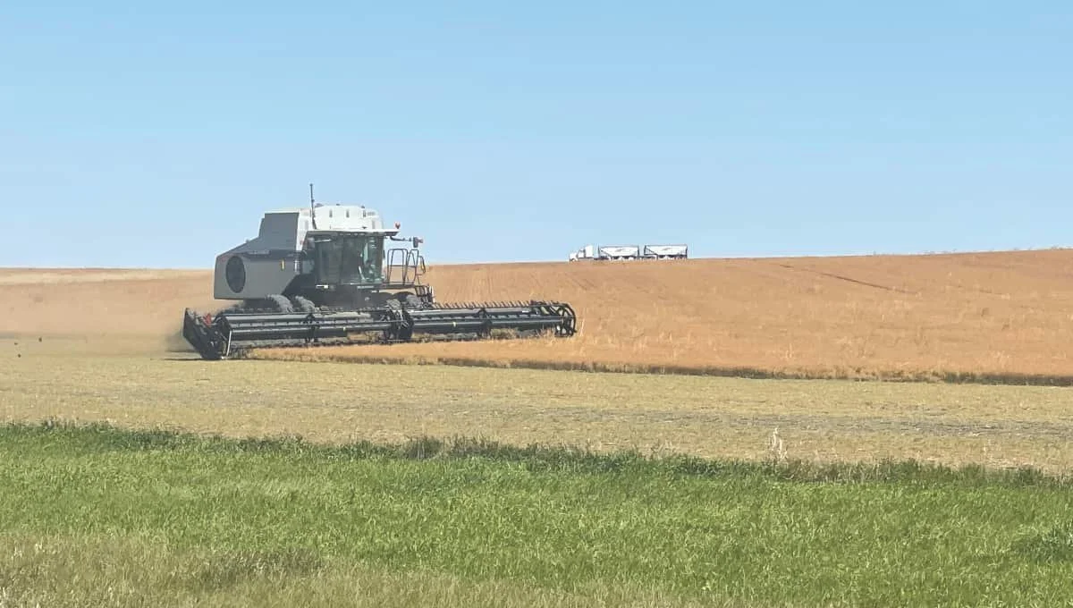 WEEKLY CROP REPORT: Harvest progress behind the 10-year average