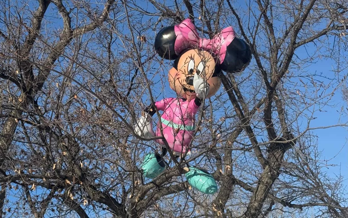 Minnie Mouse in Kindersley