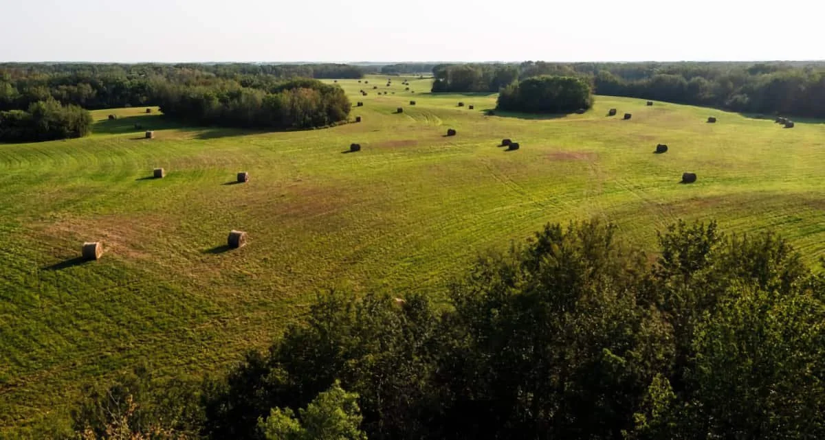 Farmers have until March 31 to revise crop insurance contracts