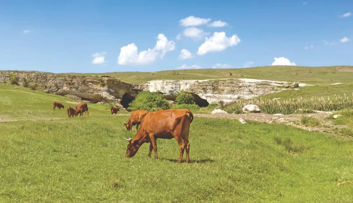 AgriStability sees largest increase in Saskatchewan agriculture budget