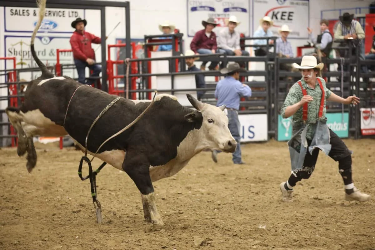 What to expect: The 33rd annual Kindersley Indoor Rodeo