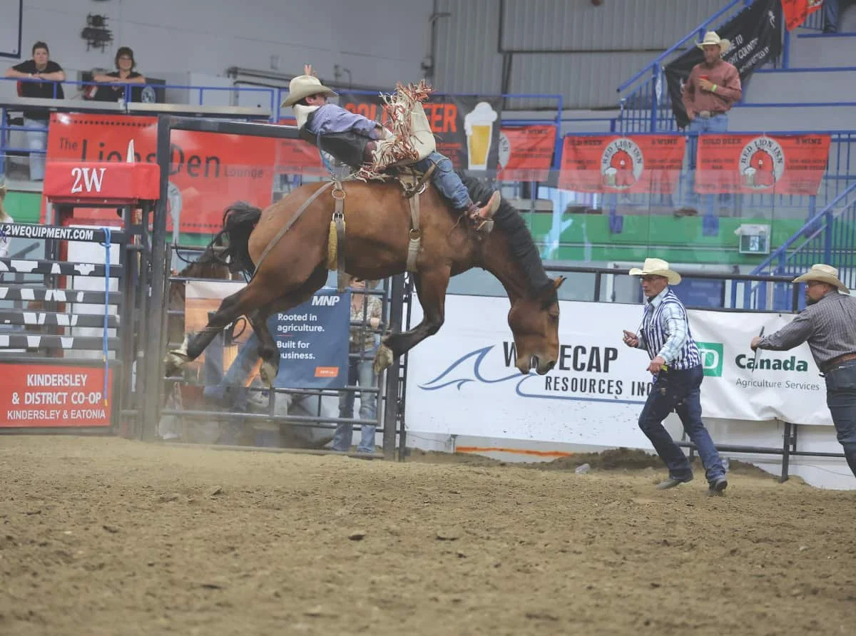 Dust, grit and eight seconds
