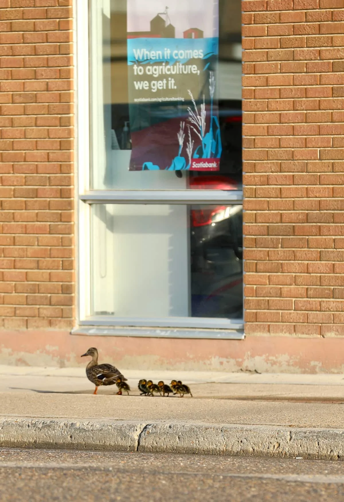 Heading to the bank?