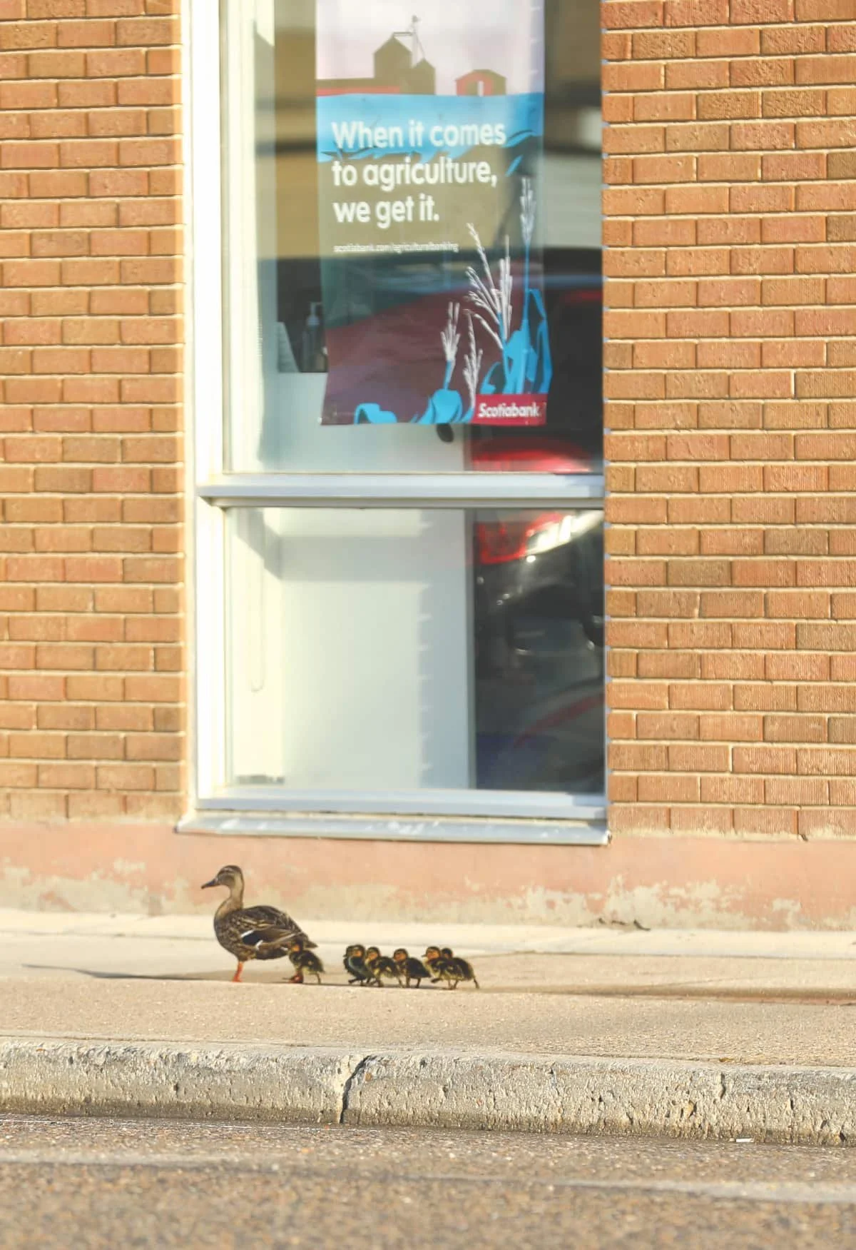 Heading to the bank?