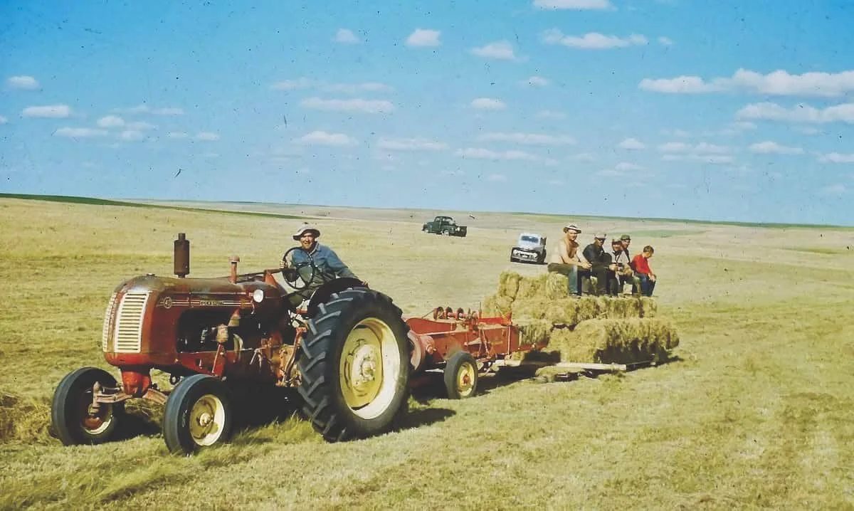 Baling hay the old-fashioned way