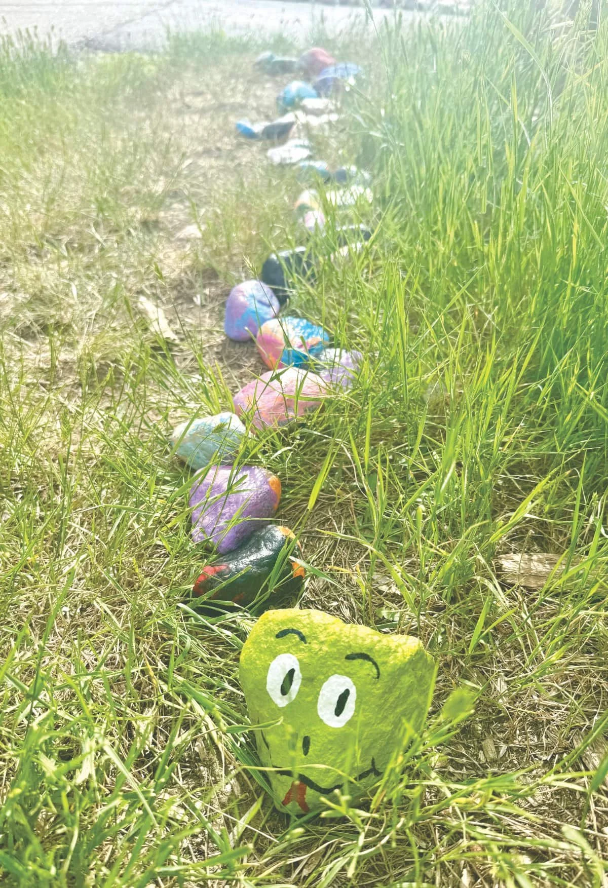 Rock snake adds colour to Kindersley Walking Trail