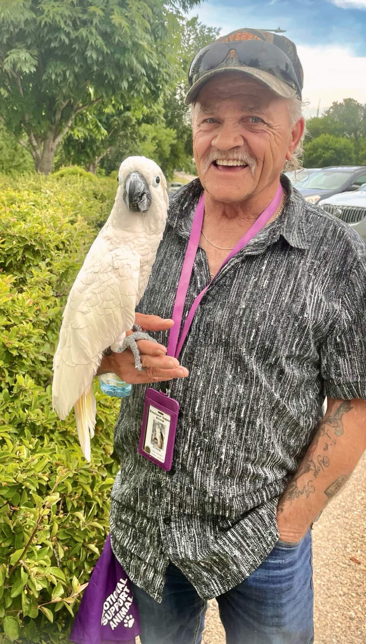 Mike's pet cockatoo lifts his spirits