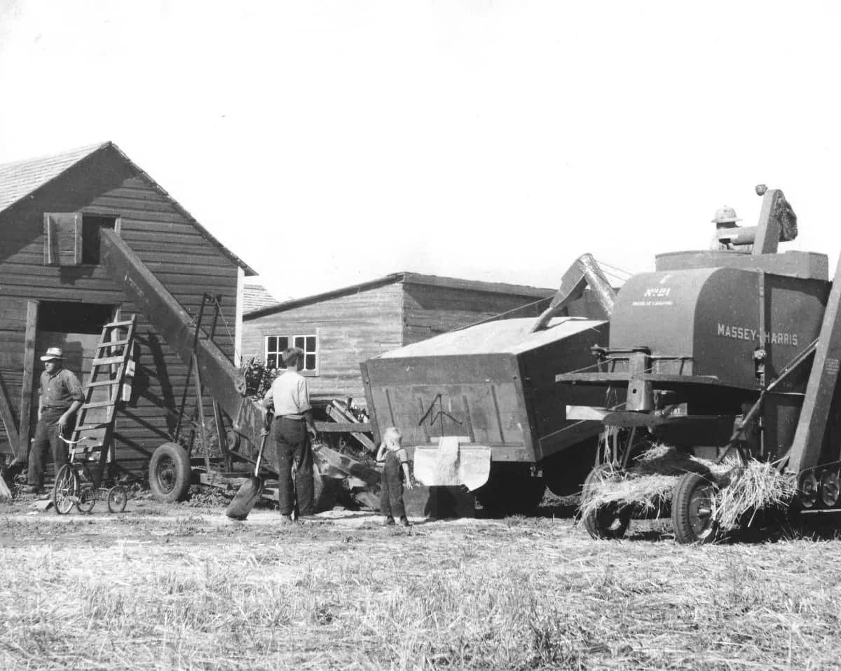 Harvest Operations in 1947