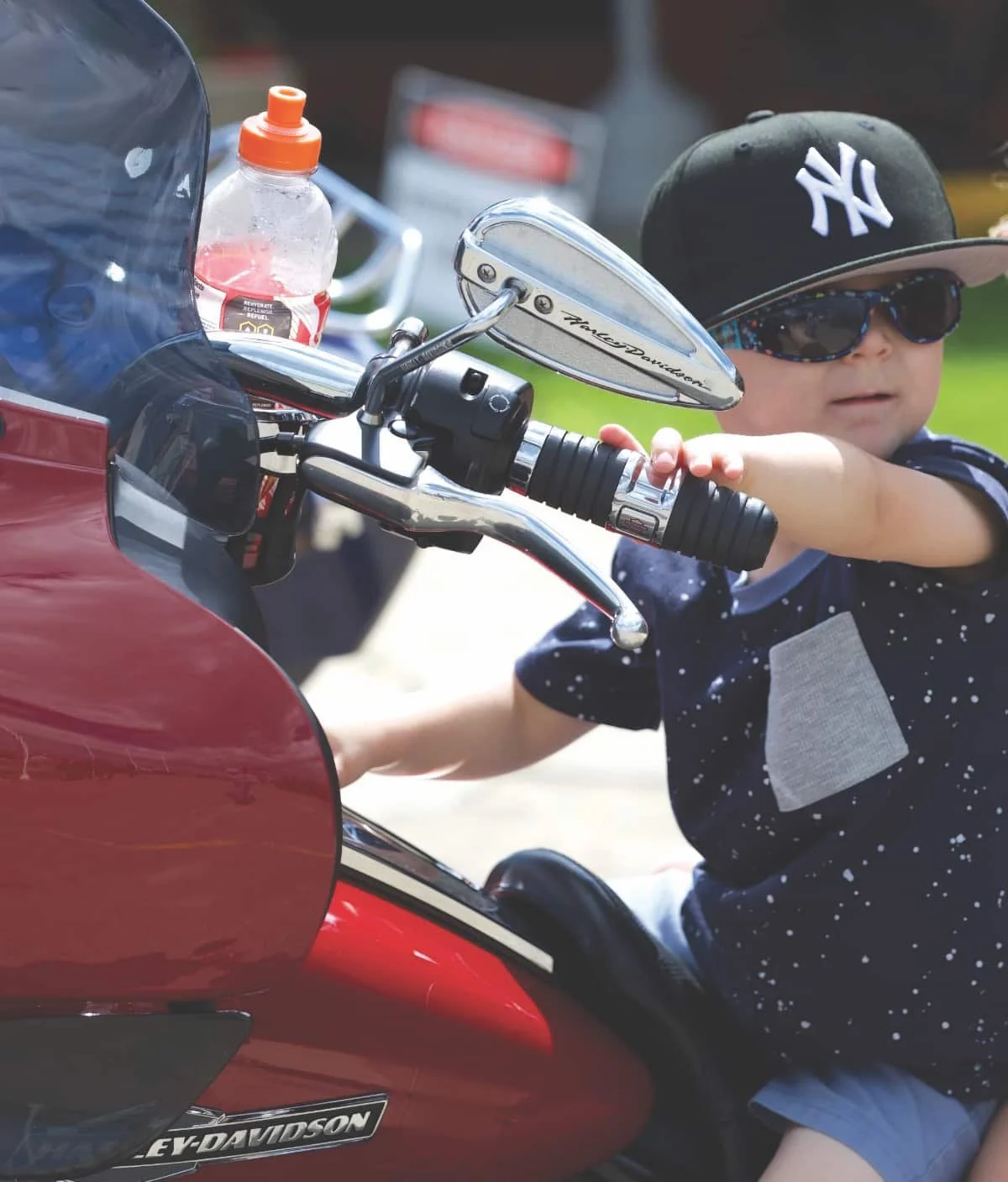 BORN TO BE WILD!
