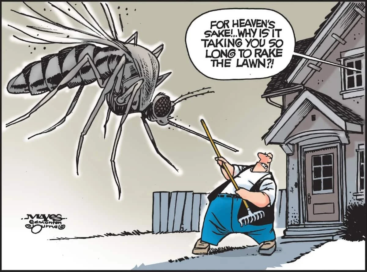 Editorial Cartoon: Rake the Lawn