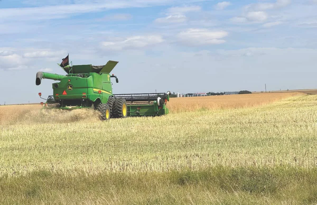 Harvest reaches 17 per cent as rain keeps fields wet