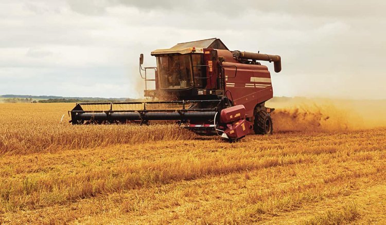 Crop Report: Heavy rain stalls harvest across west-central Saskatchewan