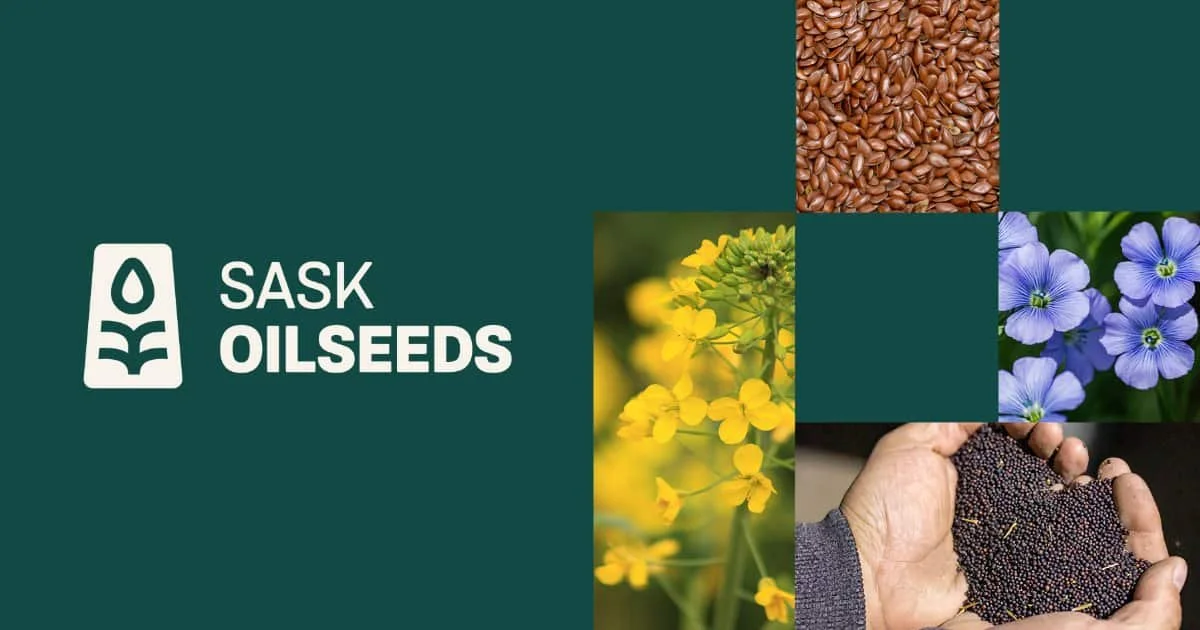 Sask growers acclaimed to SaskOilseeds board