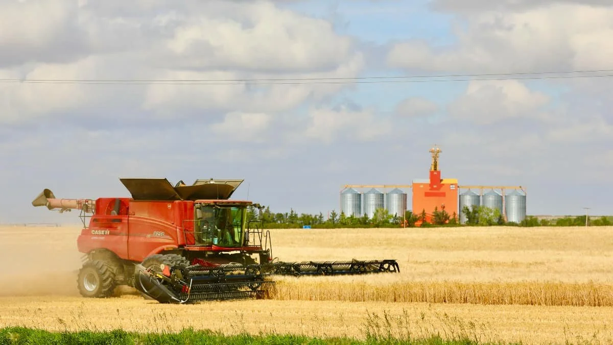 West-central harvest reaches 45 per cent as sprouting raises quality concerns