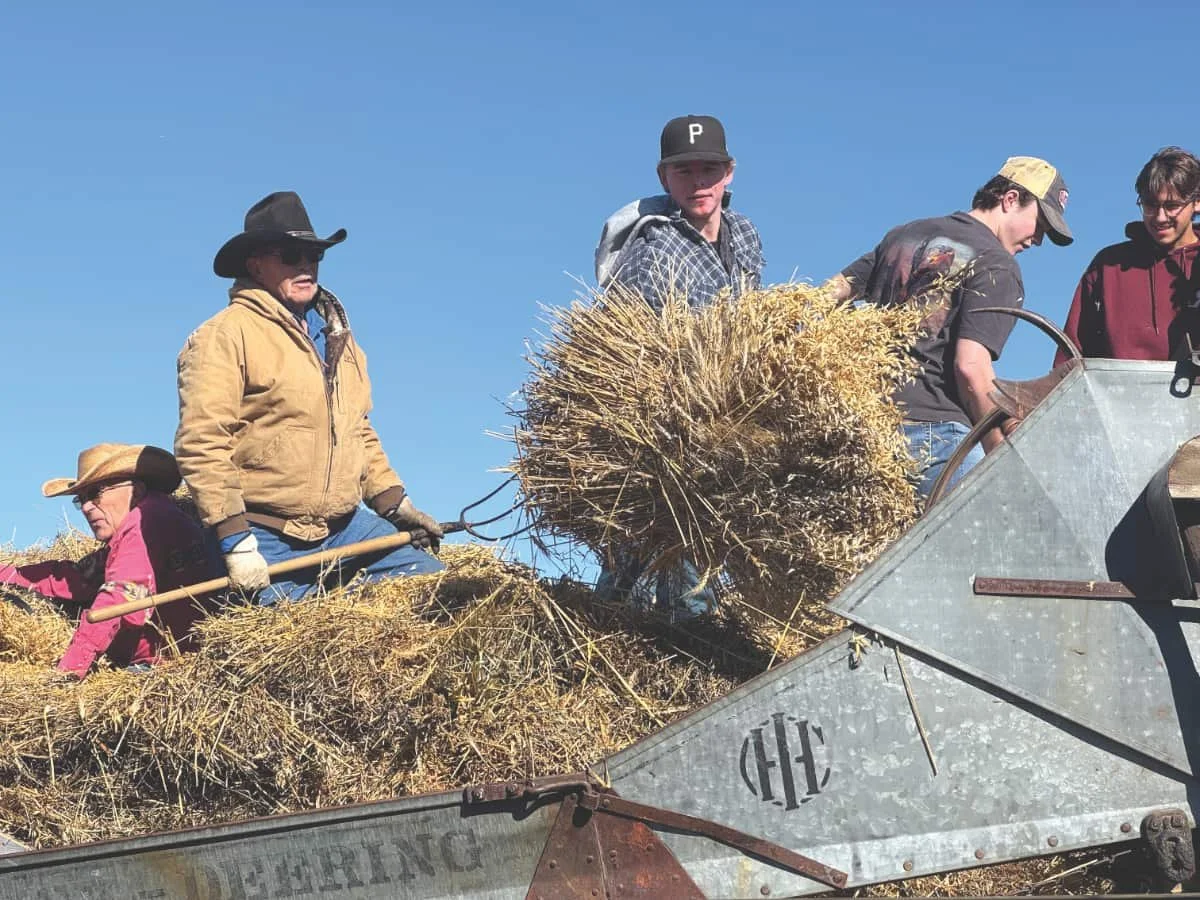 Volunteers bring history alive at Kindersley threshing demonstration