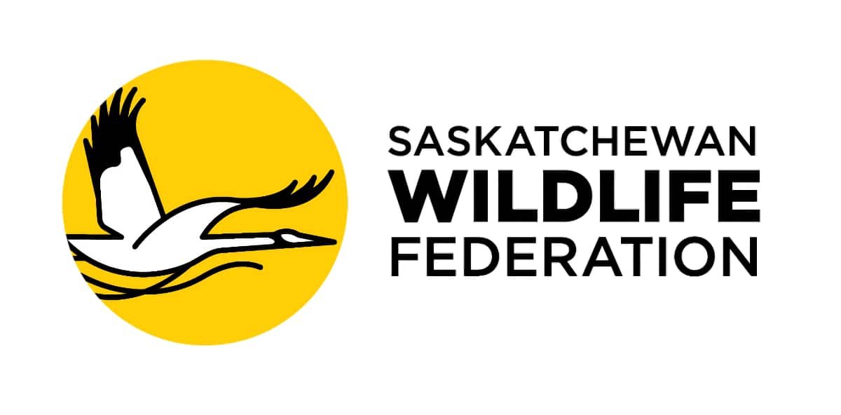 Fall rut puts more deer and moose on Saskatchewan roads
