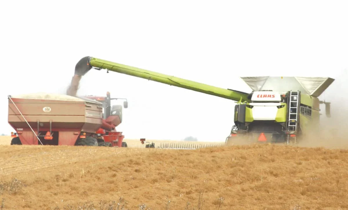 West-central harvest 97 per cent complete