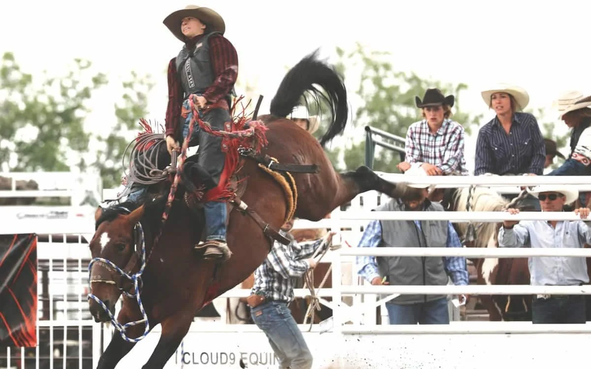 Your West Central Voice