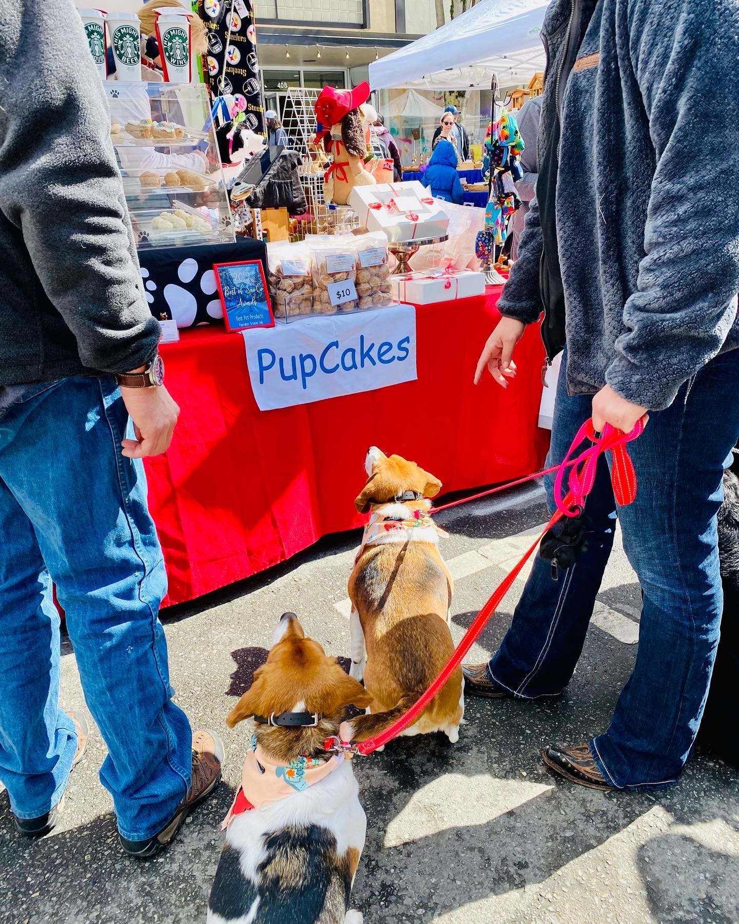 Tulip Festival Street Fair — Tulip Festival Street Fair