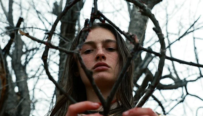 Hellbender: Conifer Hot Toddy with Rose Hips and Ginger