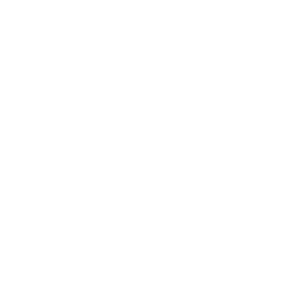 l (1).png