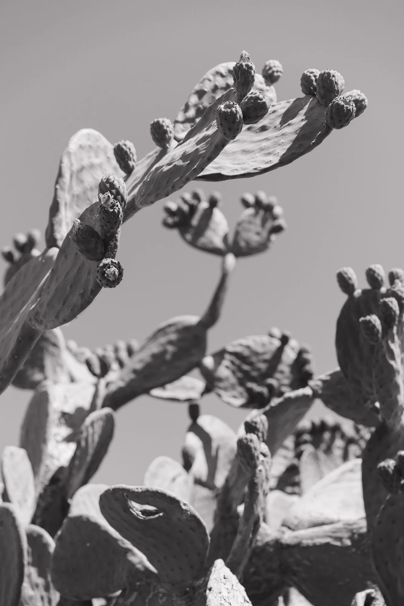 PaigeHawnPhoto-5.jpg