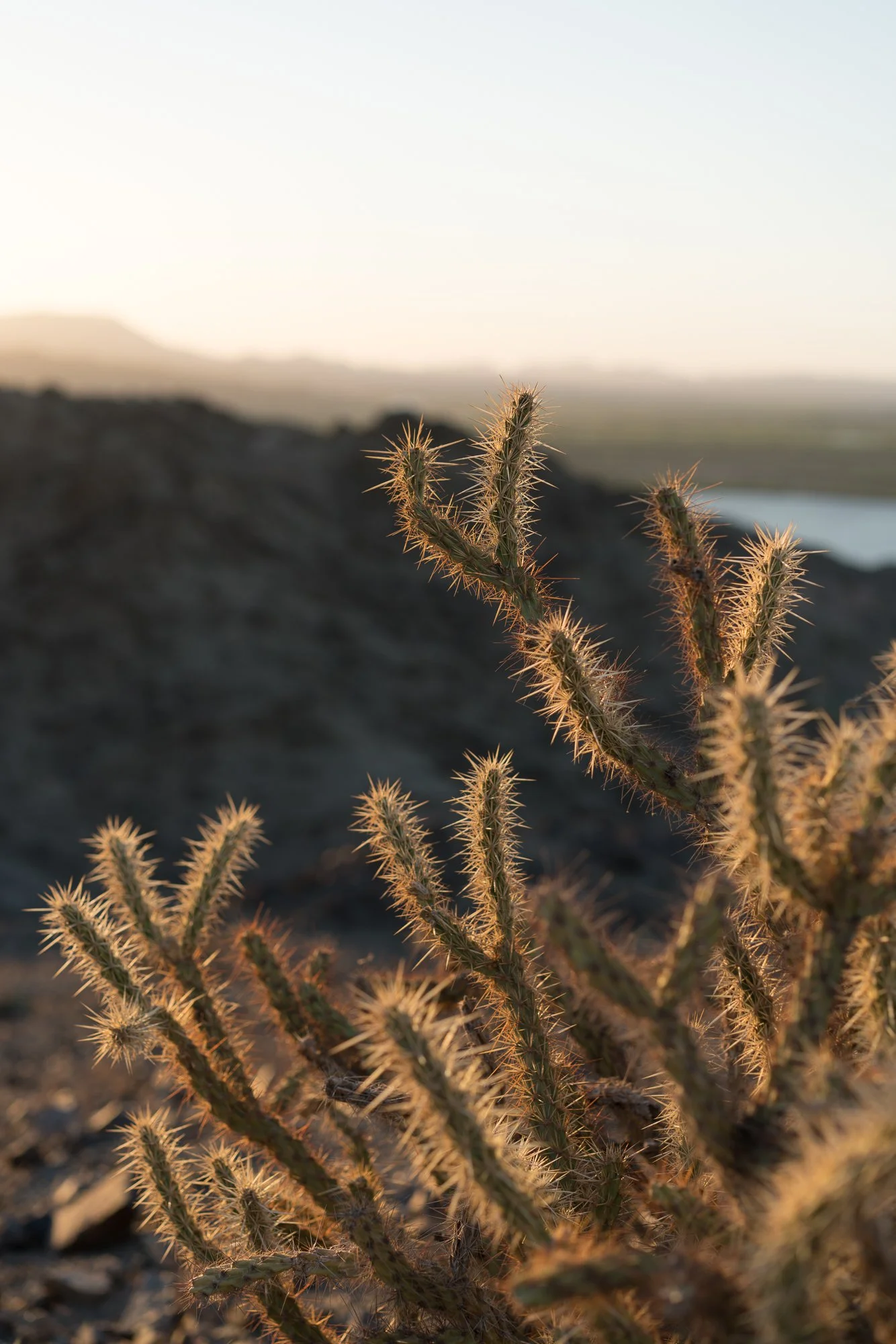 PaigeHawnPhoto-7.jpg